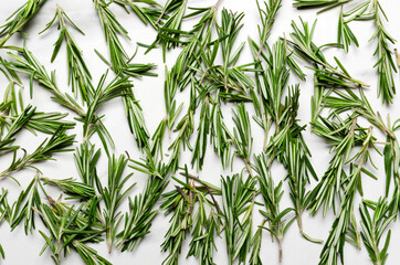 Top view of lot of fresh raw rosemary on the white surface as a background