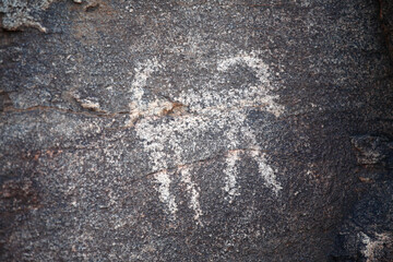 Bronze age graffiti of a goat, Baga Gazriin Chuluu, Mongolia