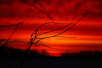 Naklejka premium romantic sunrise in an idyllic landscape