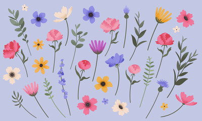 Flower and branch collection. Set of summer flowers, peonies, anemones, daisies and cornflowers. Colorful vintage style florals. Vector illustration. - 414952505