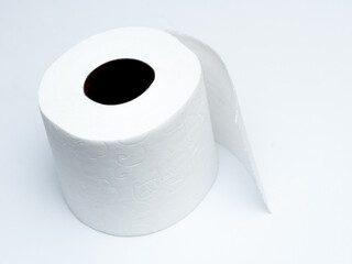 Toilet paper towel in the bathroom.