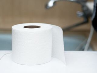 Toilet paper towel in the bathroom.