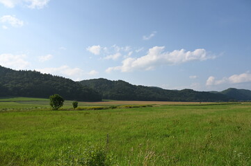 野山