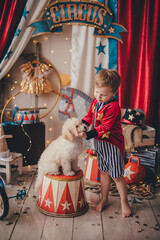 White boy in a circus costume of a trainer. White poodle puppy. Stylized circus photo zone. © Evgeniya
