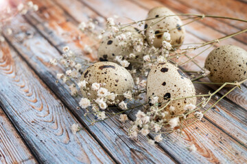 Healthy food concept. quail eggs  over  old wooden background, selective focus. Rustic style. Protein diet. Easter concept