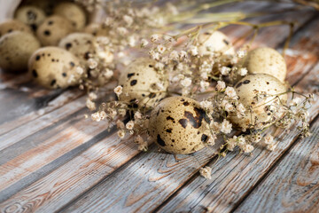 Obraz premium quail eggs over old wooden background, selective focus. Rustic style. Protein diet. Healthy diet. Easter concept