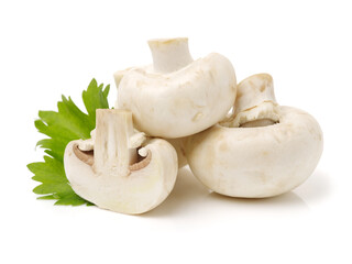 White mushrooms on white background