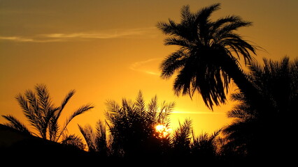 Obraz na płótnie Canvas goldgelber Sonnenuntergang bei der Oase Mandara in der Sahara von Libyen