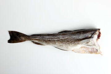Close up of Atlantic cod headless isolated on white background. Fresh raw cod fillet 