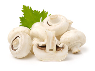 White mushrooms on white background