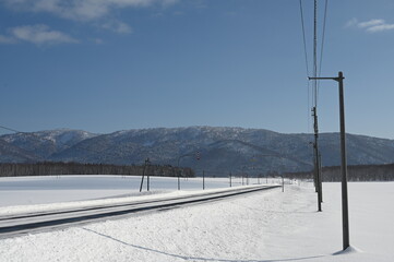 雪中を行く道と電線
