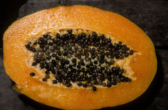Papayer, Papaye, Carica papaya