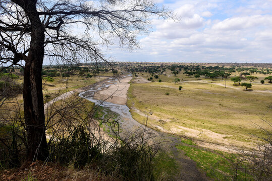 Tarangire Fluss im Tarangire-Nationalpark in Tansania