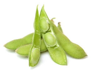 Fresh harvested soybean (edamame) plant isolated on white background