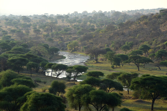Flusslandschaft im Tarangire-Nationalpark in Tansania