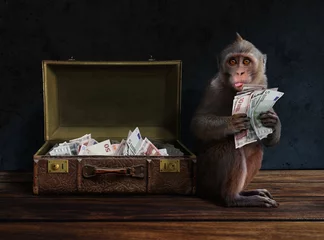 Foto auf Acrylglas Intelligent clever monkey with money on hand and suitcase full of cash © funstarts33