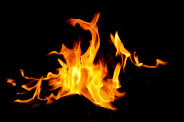 Fire flames on black background.