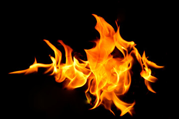 Fire flames on black background.
