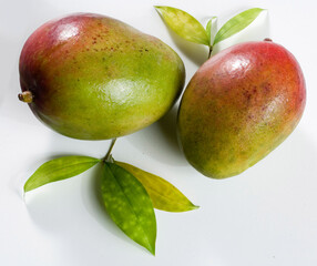 Two mango’s on white background