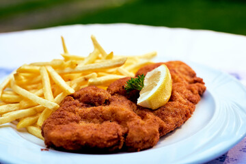 Wiener Schnitzel mit Pommes Frites im Biergarten Wirtshaus