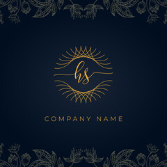 Fototapeta na wymiar Elegant luxury letter HS logo.