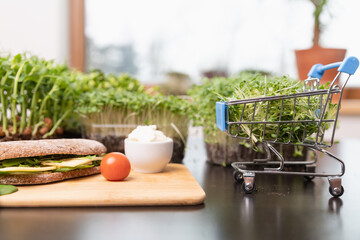 Healthy food online ordering concept. Microgreens, grain bread and shopping cart full of cutted sprout superfood.