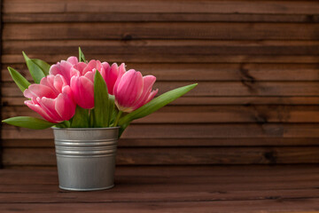 Purple-pink tulips in a tin bucket on a dark wooden background, spring and Easter card, top view, place for text