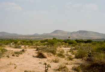 Semi-arid desert Mexico