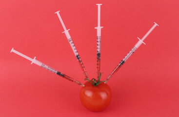 Four syringes in a red tomato on a red background. GMO, research, modification