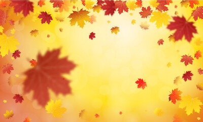 Naklejka na ściany i meble Autumn falling leaves background Vector template. Leaf vector