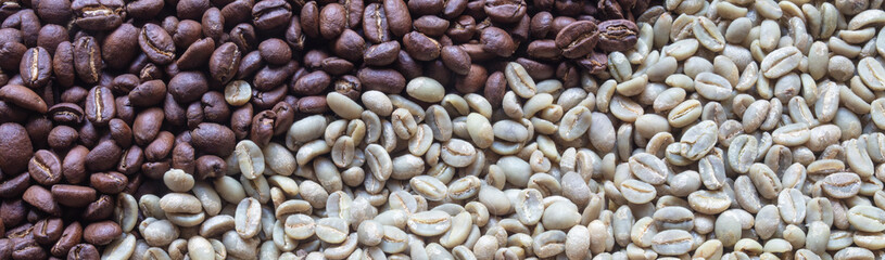 Close up banner of roasted and unroasted coffee grains