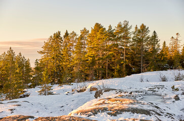 Winter landscape coast at sundown