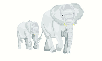Family of African elephants. isolated image elephant and cub. Nature and animals of Africa. Animals of the circus, zoo. Nature reserves and national parks. The elephant walks. vector