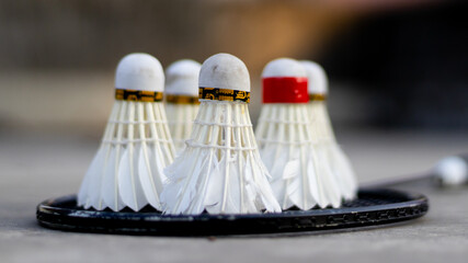 Closeup shot at multiple badminton shuttlecocks.