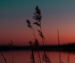 chilling sunset