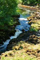 Fototapeta na wymiar Fast flowing rapids of The River Wharfe known as The Strid near Bolton Abbey,Skipton,UK.