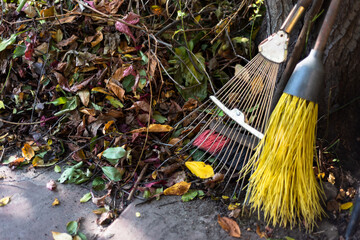 a rake for cleaning leaves and a broom against a background of fallen leaves