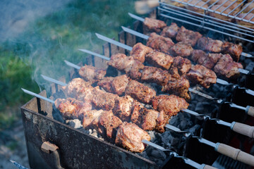juicy shish kebab on a skewer, barbecue in russia