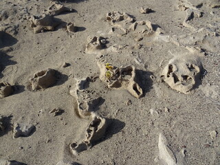 Exceptional geological 