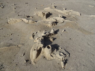 Exceptional geological 