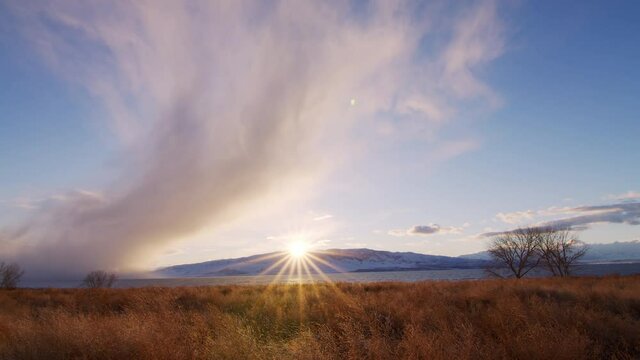 Wind blowing over golden field looking towards the sun with snow storm cell moving over Utah Lake.  Northern Harrier hawk flies over the field as quail takes off.
