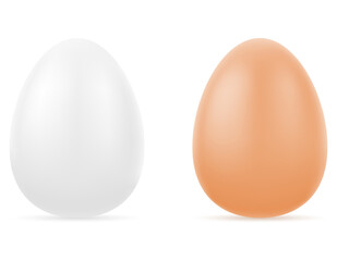 realistic natural chicken egg stock vector illustration