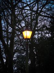 street lamp at night in the park