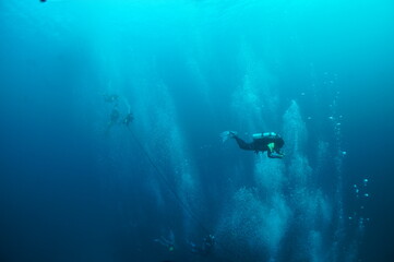 Fototapeta na wymiar Scuba diving of AlmaJane Wreck diving point in Mindoro, Philippines. 