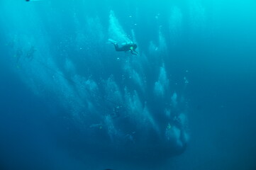Fototapeta na wymiar Scuba diving of AlmaJane Wreck diving point in Mindoro, Philippines. 