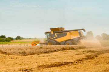 Wheat harvesting on field in summer season. Wide chaff spreading by combine harvester with rotor separation. Process of gathering crop by agricultural machinery: cuts and threshes ripe wheat grain
