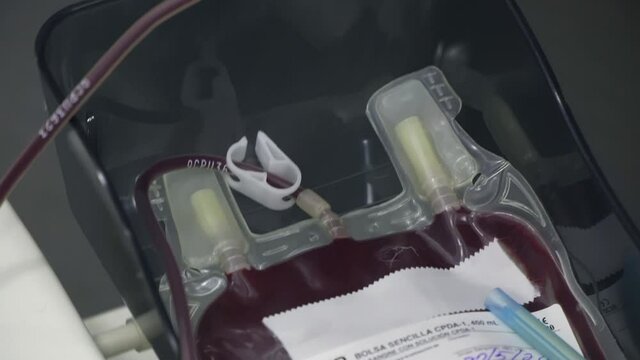 A bag of blood is on a scale during the donation, whose blood is shaken to mix it with the anticoagulant liquid.