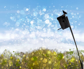 Spring photo of a silhouette of a starling on a birdhouse agains
