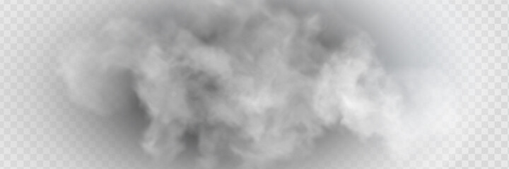 Fototapeta premium Fog or smoke isolated transparent special effect. White vector cloudiness, mist or smog background.