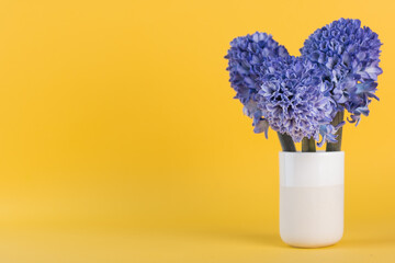 Bouquet of flowers with lilac hyacinths. Spring flowers in a vase on a yellow background. Copy space.